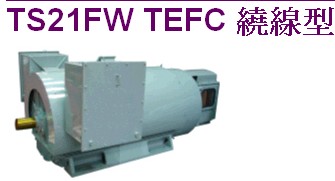 聯(lián)崴公司官方網(wǎng)站提供大同電機(jī)(馬達(dá))的選擇型號(hào)與推薦型號(hào)